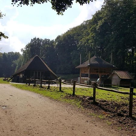Reewold Veluwe Villa Putten Eksteriør billede