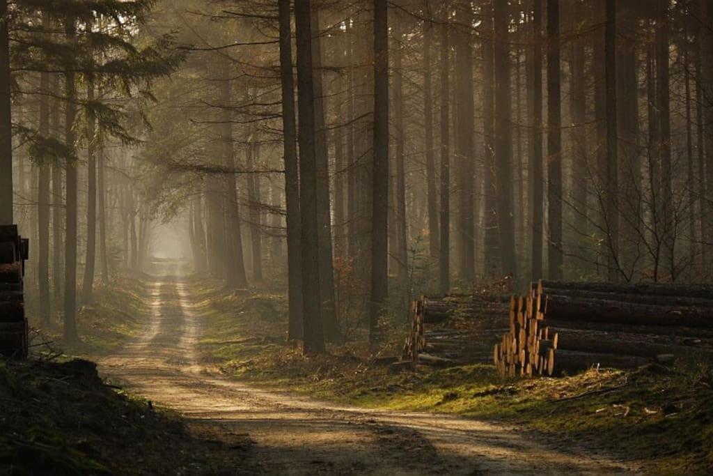 Reewold Veluwe Villa Putten Eksteriør billede