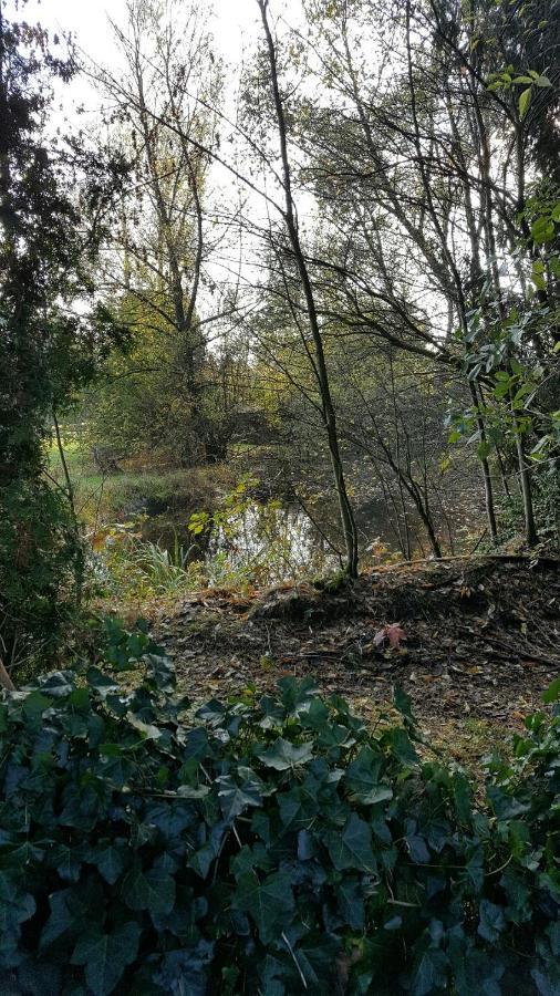 Reewold Veluwe Villa Putten Eksteriør billede