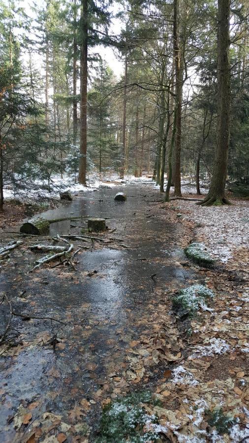Reewold Veluwe Villa Putten Eksteriør billede