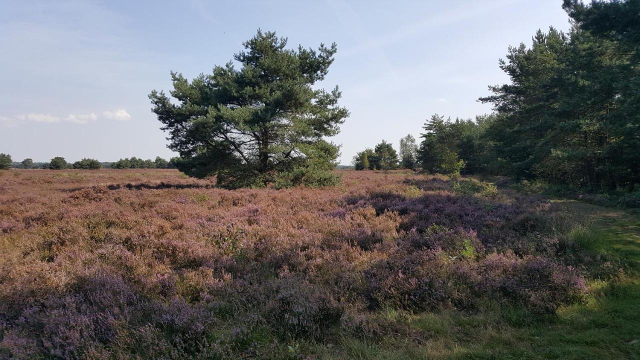 Reewold Veluwe Villa Putten Eksteriør billede