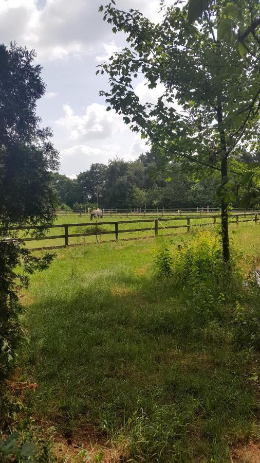Reewold Veluwe Villa Putten Eksteriør billede