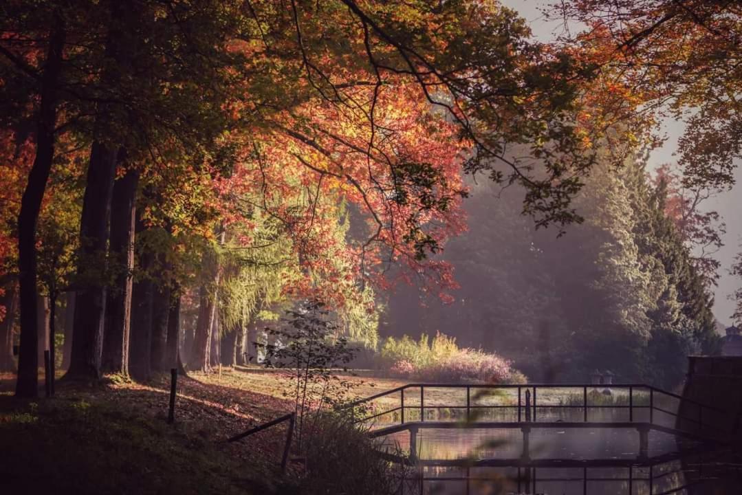 Reewold Veluwe Villa Putten Eksteriør billede