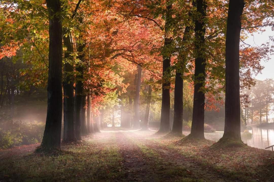 Reewold Veluwe Villa Putten Eksteriør billede