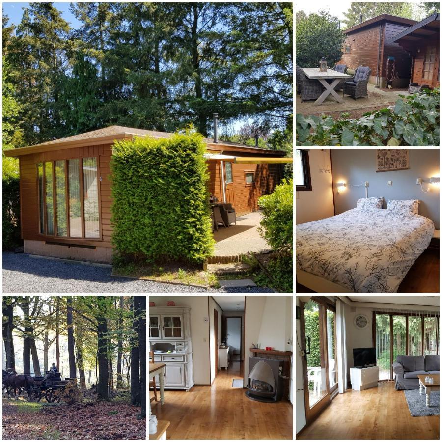 Reewold Veluwe Villa Putten Eksteriør billede